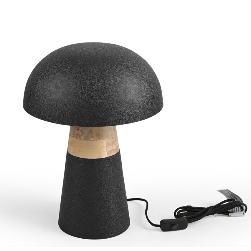 LAMP IRON