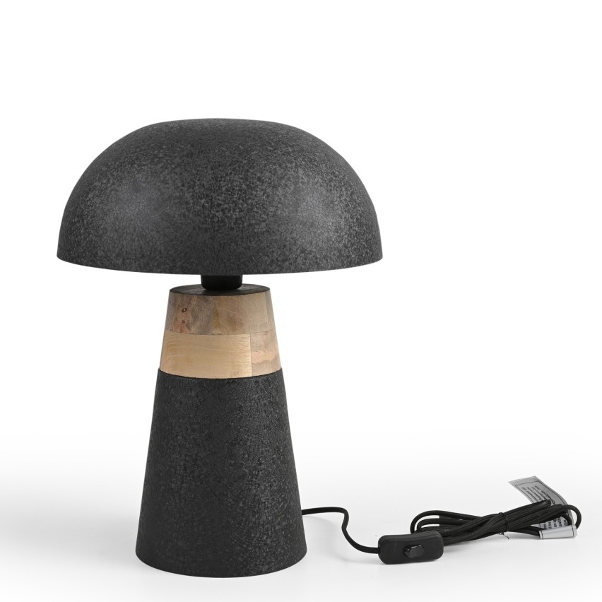 LAMP IRON