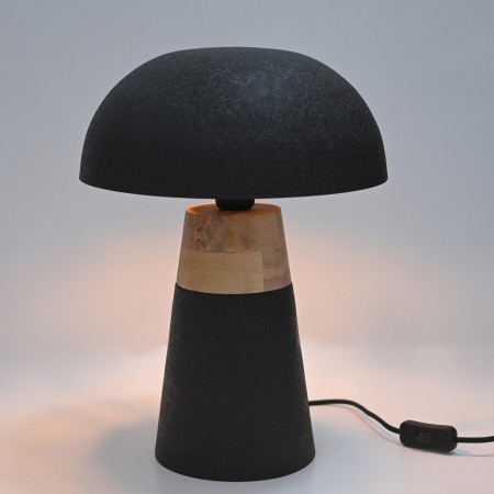 LAMP IRON