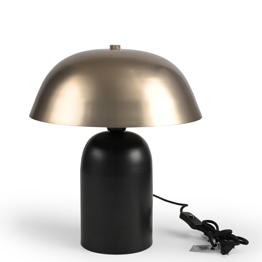 LAMP IRON