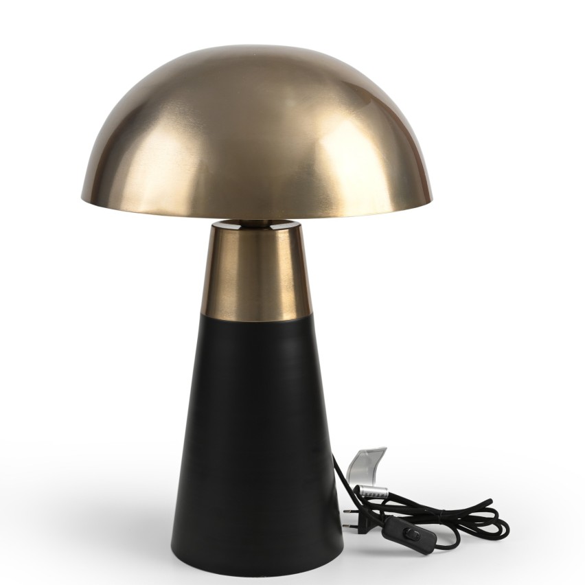 LAMP IRON