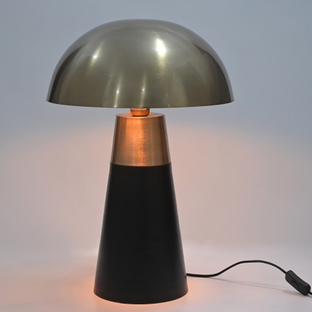 LAMP IRON