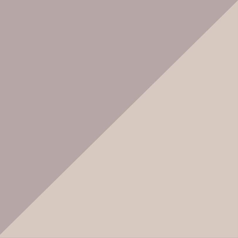 BRISMGAZF