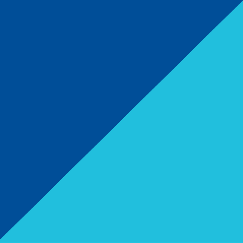 BRISMINDAQ