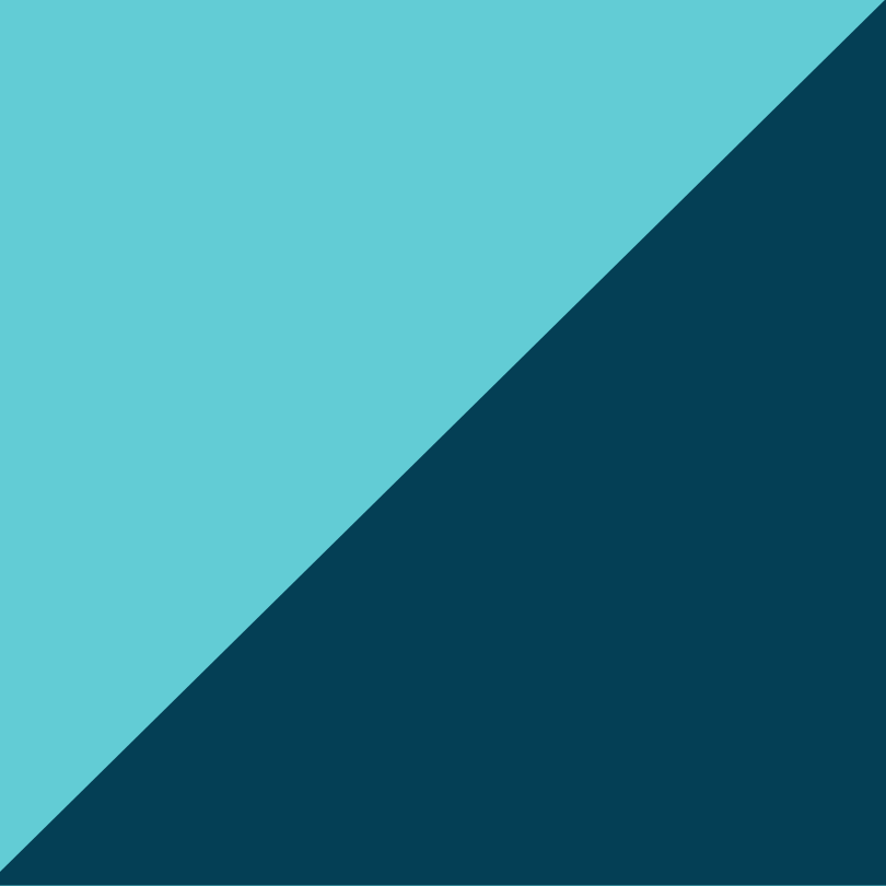 LAGON / NAVY